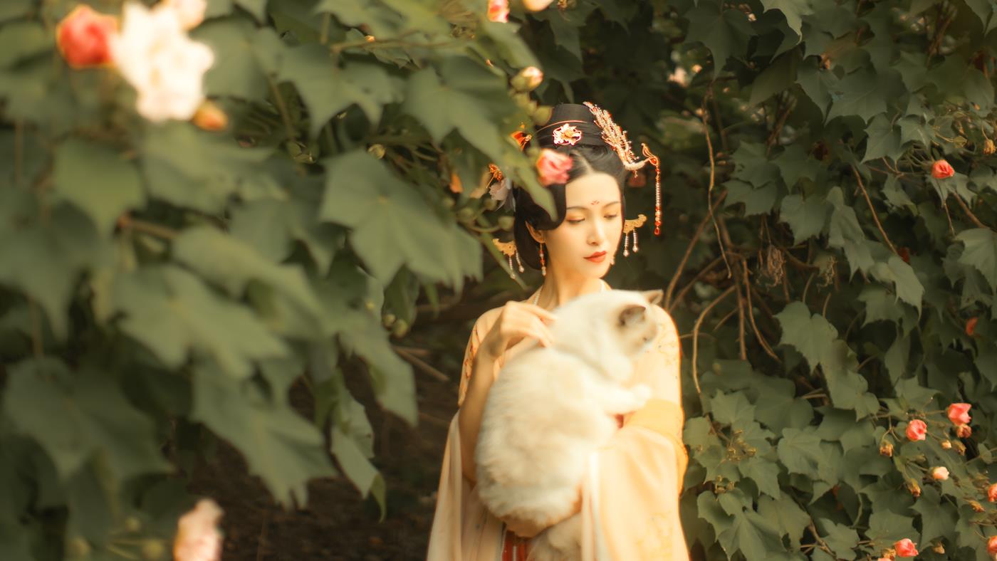 图片[31]-[YITUYU艺图语] 2021.11.18 芙蓉词 修水凝花 [38P] – 速更版-美库