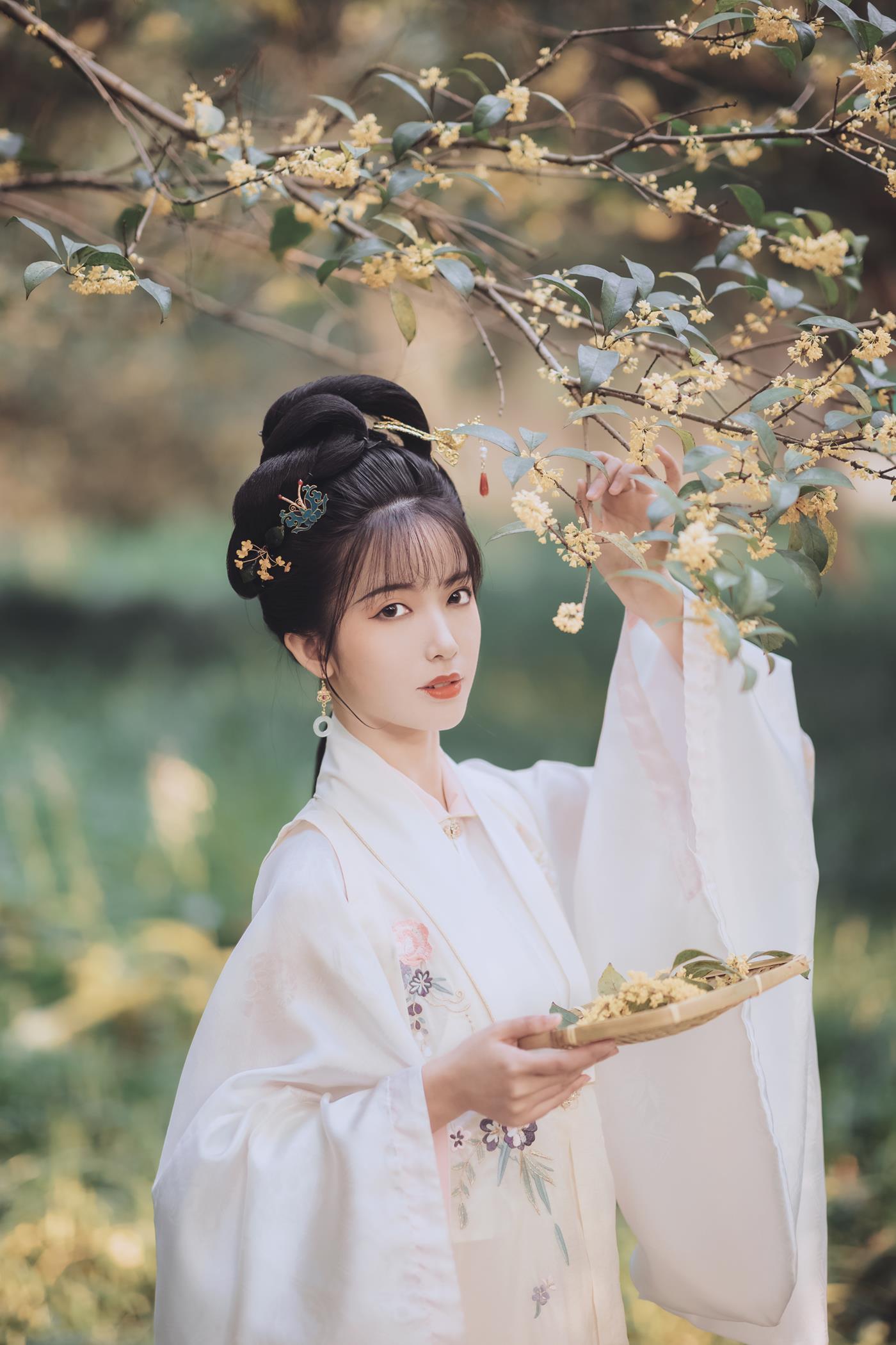 图片[29]-[YITUYU艺图语] 2021.11.22 桂花酿 一只阿梦崽 [36P] – 速更版-美库