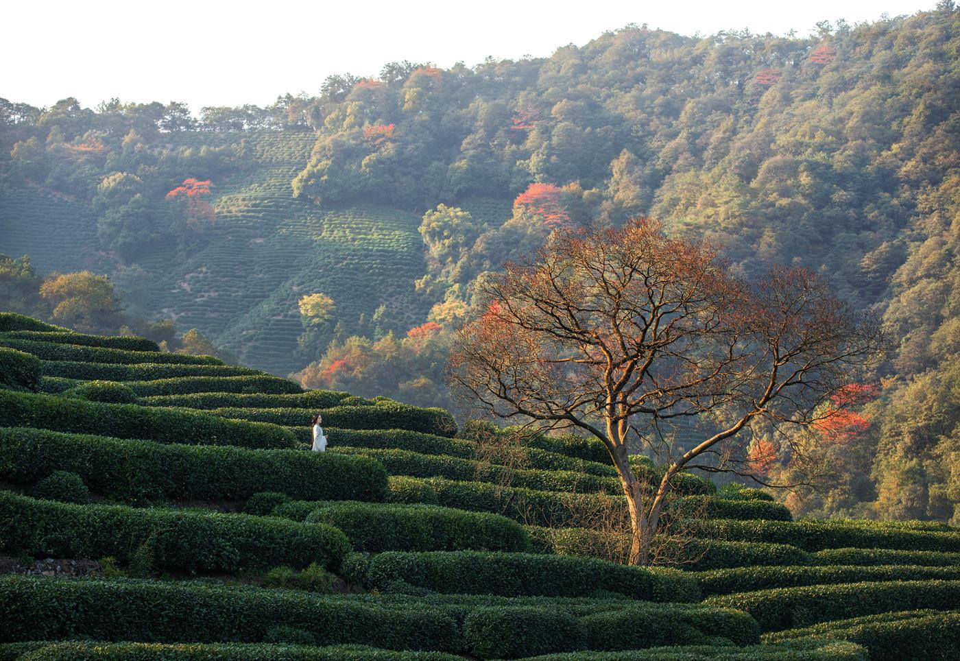 图片[12]-[YITUYU艺图语] 2021.11.25 若初 一个白鹿 [20P] – 速更版-美库