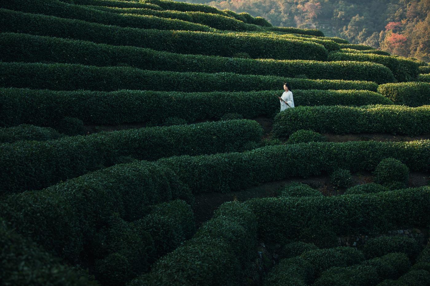 图片[13]-[YITUYU艺图语] 2021.11.25 若初 一个白鹿 [20P] – 速更版-美库