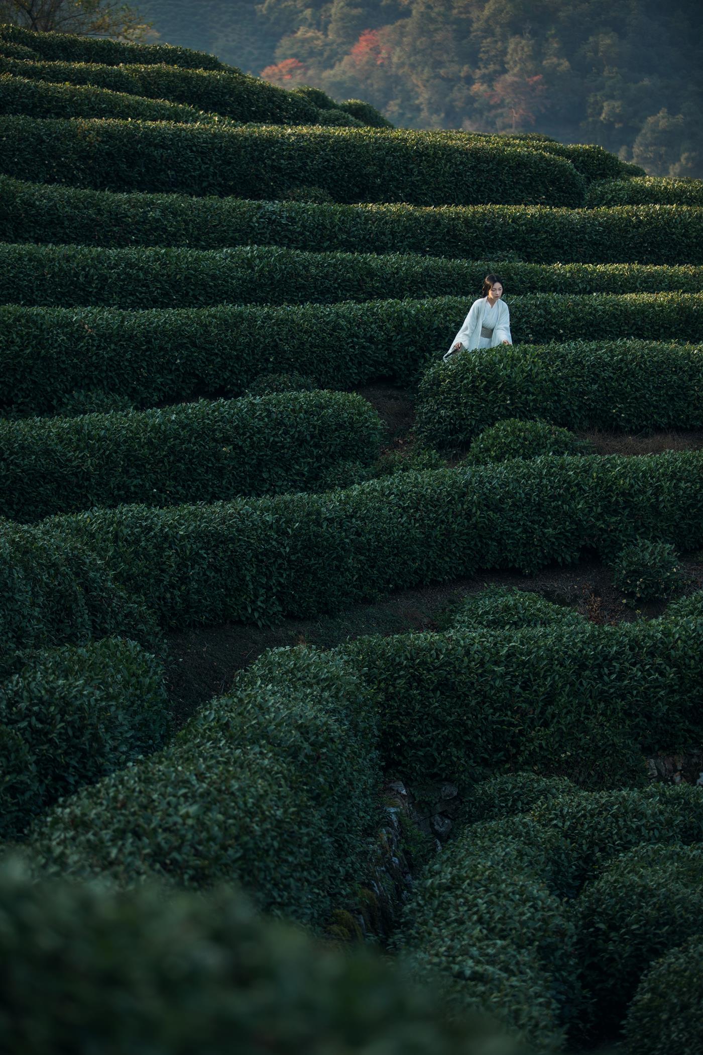 图片[14]-[YITUYU艺图语] 2021.11.25 若初 一个白鹿 [20P] – 速更版-美库