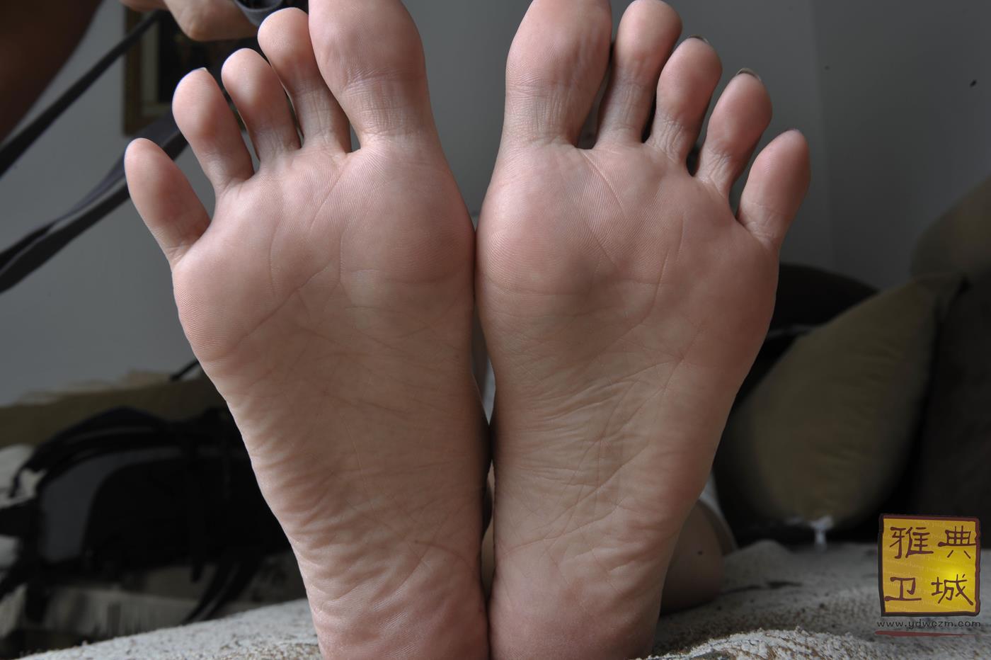 图片[47]-雅典卫城  长腿姐姐 2010-003 (1) [88P] – 速更版-美库