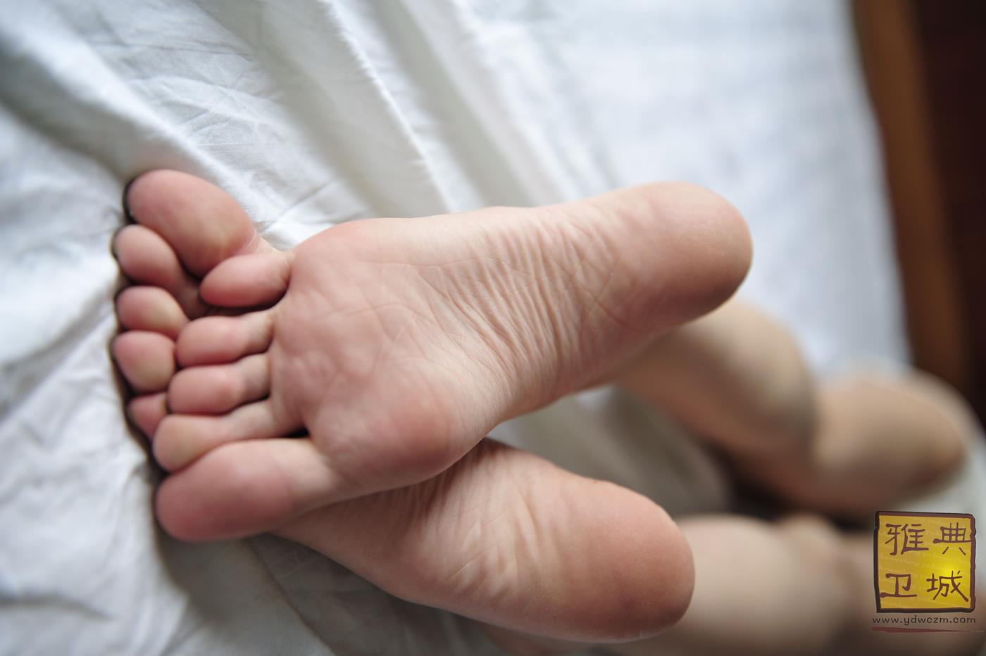 图片[56]-雅典卫城  长腿姐姐 2010-003 (2) [110P] – 速更版-美库