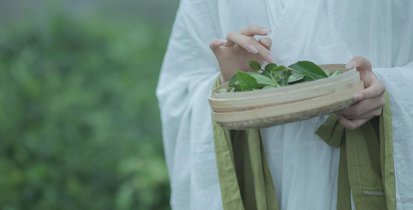 图片[13]-[YITUYU艺图语] 2021.12.02 采茶女 十八重川 [20P] – 速更版-美库