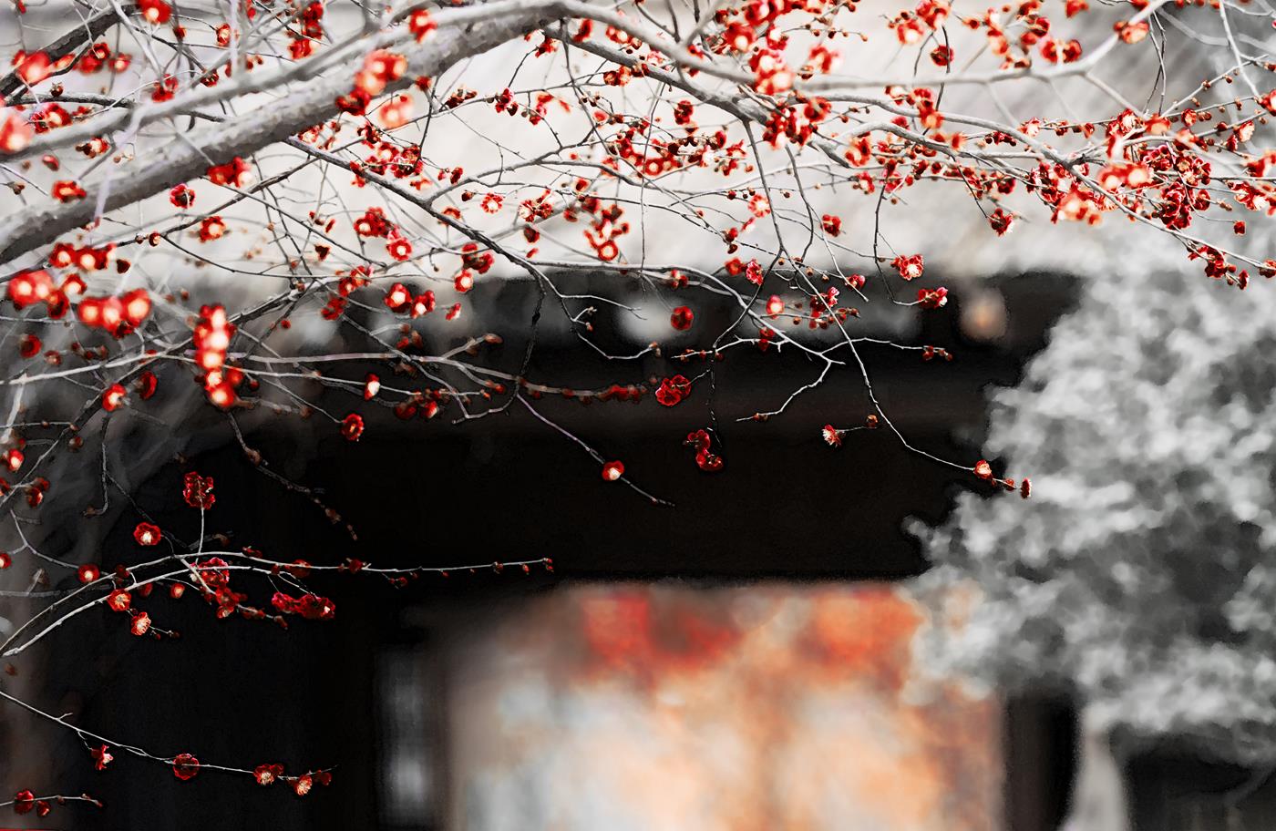 图片[14]-[YITUYU艺图语] 2021.12.10 寄春君 小玉 [28P] – 速更版-美库