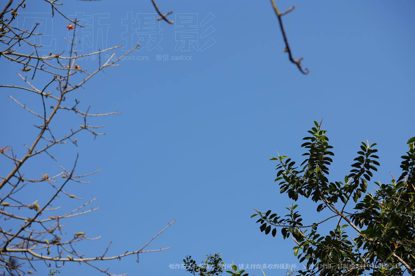 图片[13]-[见新摄影]NO.036 愿所求皆所愿，所盼皆所期 (2) [52P] – 速更版-美库