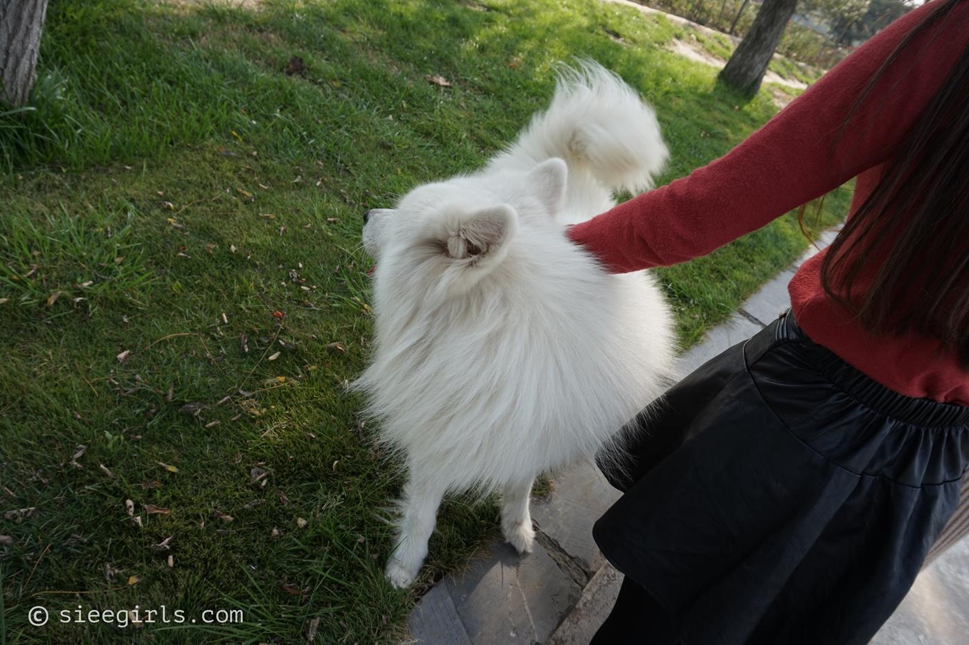 图片[27]-[SIEE丝意]新刊 NO.013 鱼鱼 春天游玩[86P] – 速更版-美库