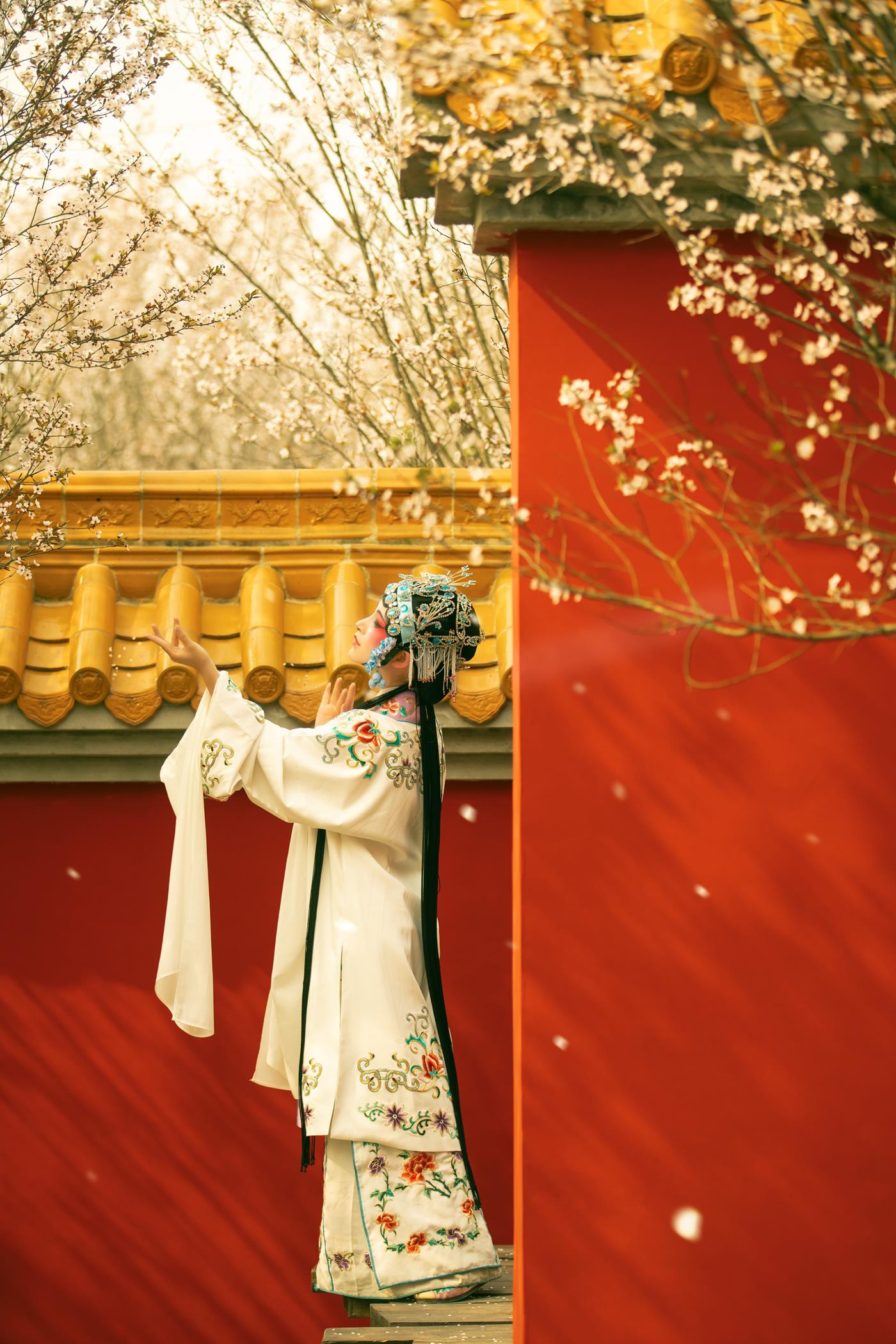 图片[24]-[YITUYU艺图语] 2021.12.18 花满枝 修水凝花 [23P] – 速更版-美库