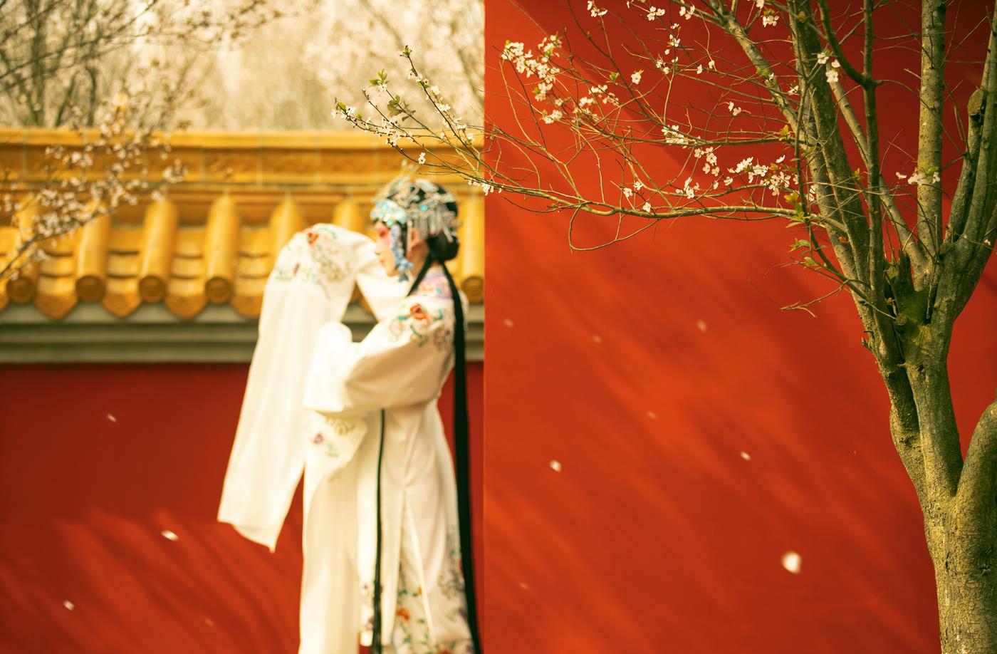 图片[25]-[YITUYU艺图语] 2021.12.18 花满枝 修水凝花 [23P] – 速更版-美库