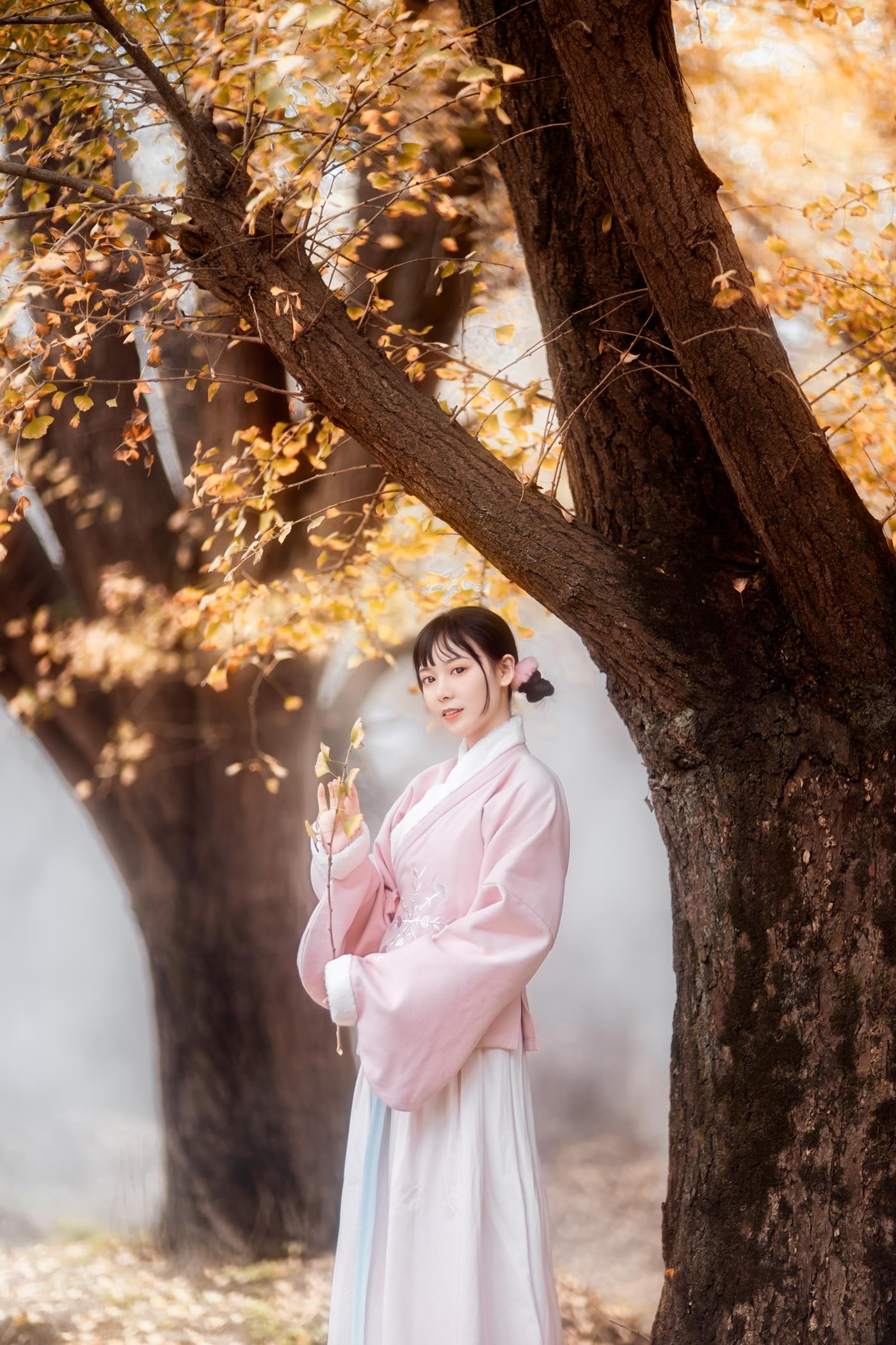 图片[15]-[YITUYU艺图语] 2021.12.18 杏仙歌 李太白 [32P] – 速更版-美库