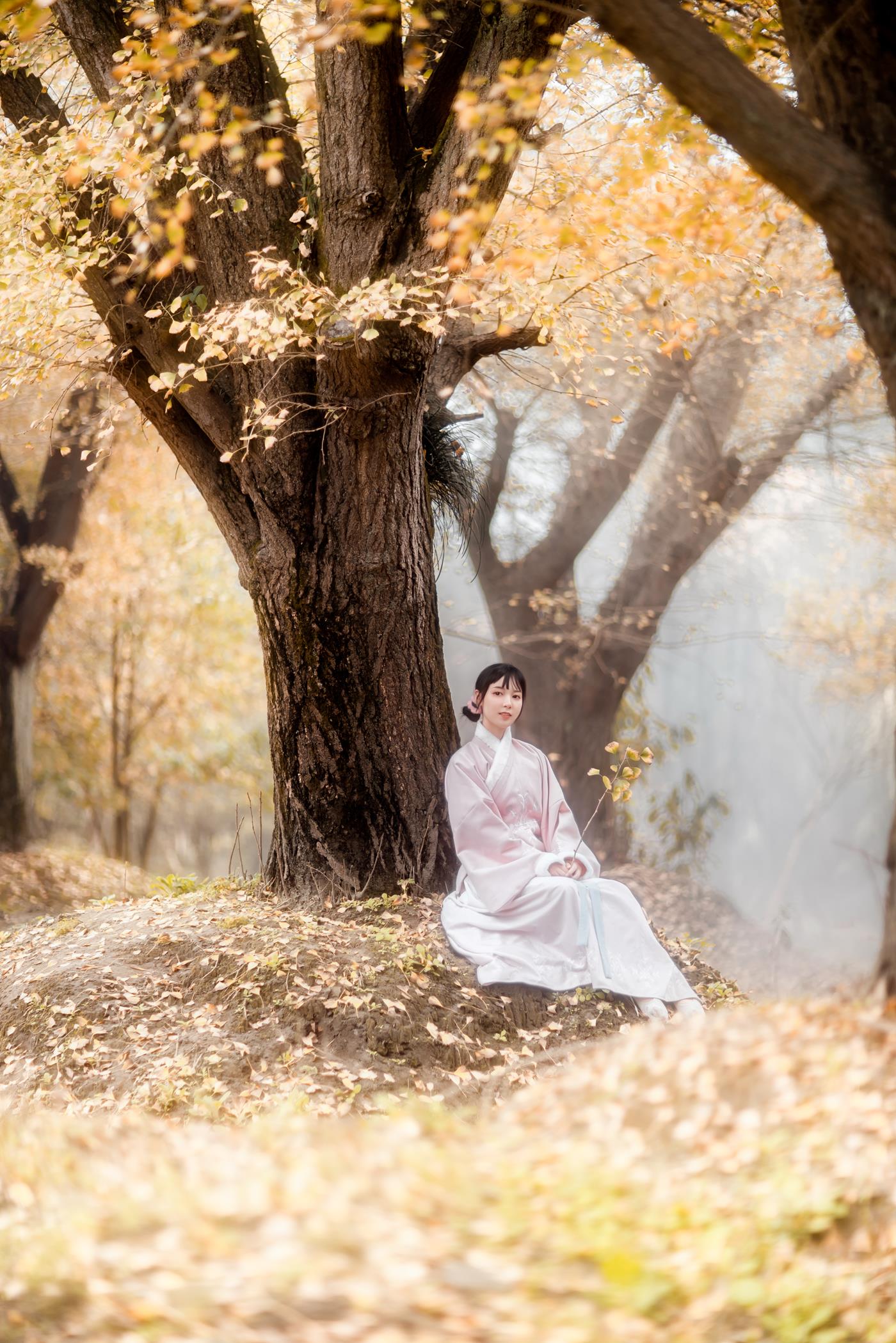 图片[17]-[YITUYU艺图语] 2021.12.18 杏仙歌 李太白 [32P] – 速更版-美库