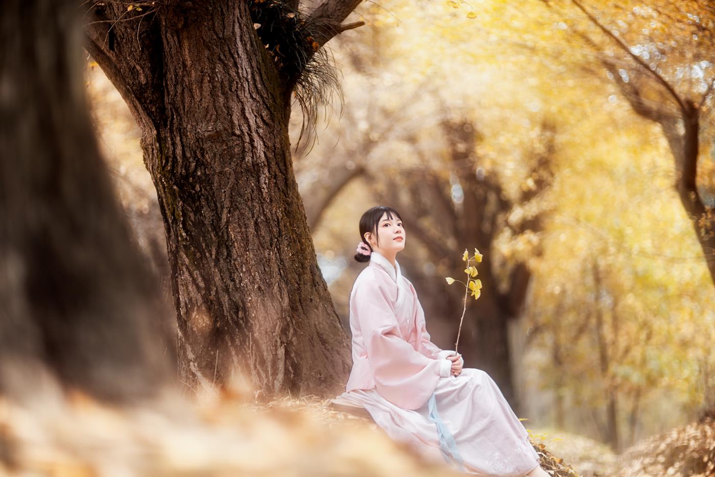 图片[21]-[YITUYU艺图语] 2021.12.18 杏仙歌 李太白 [32P] – 速更版-美库