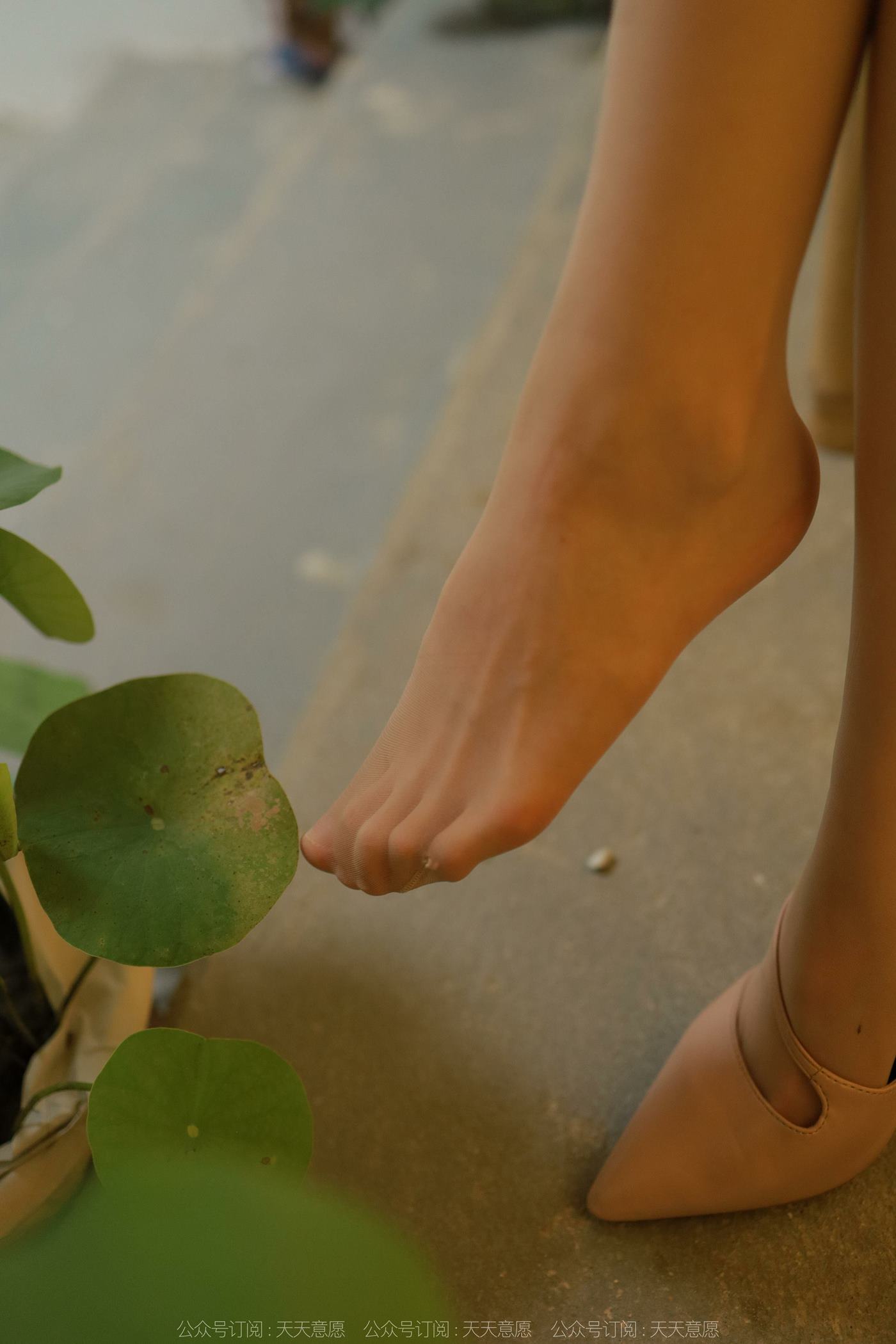 图片[41]-[IESS异思趣向] 耽丝 220725幂幂 [87P] – 速更版-美库