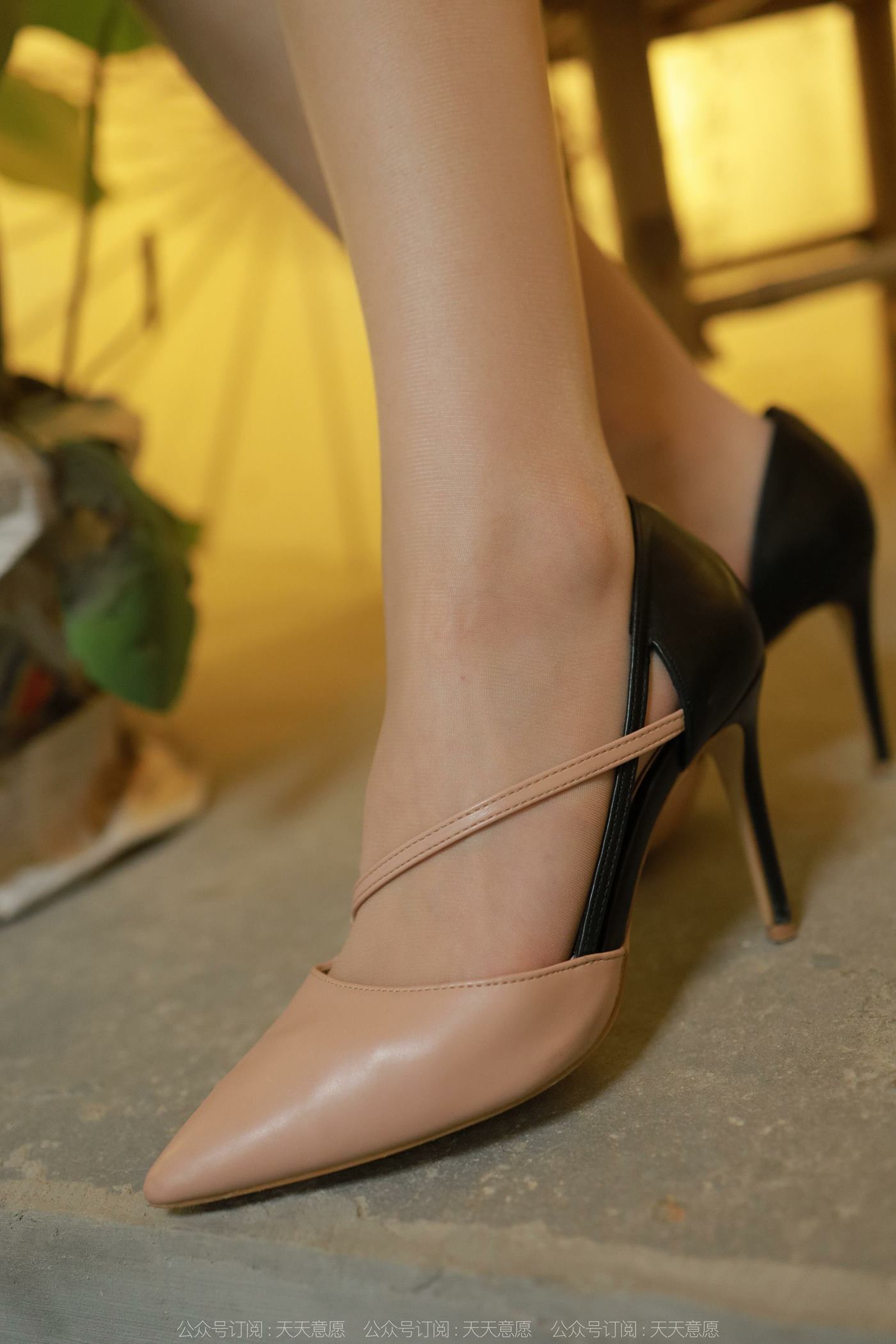 图片[87]-[IESS异思趣向] 耽丝 220725幂幂 [87P] – 速更版-美库