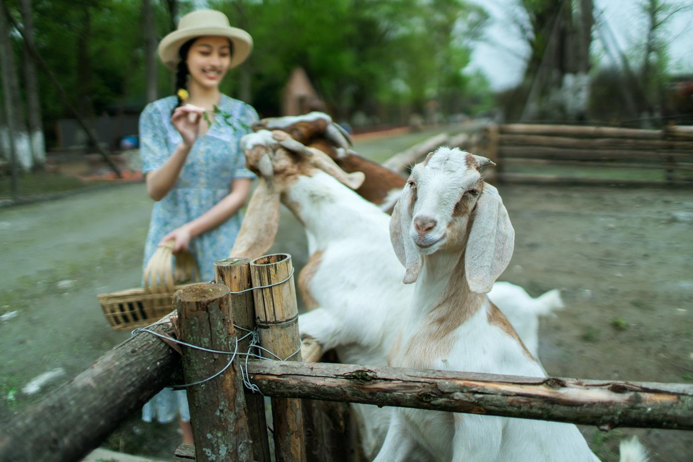 图片[15]-[YITUYU艺图语] 2021.12.21 春天 欢欢 [32P] – 速更版-美库