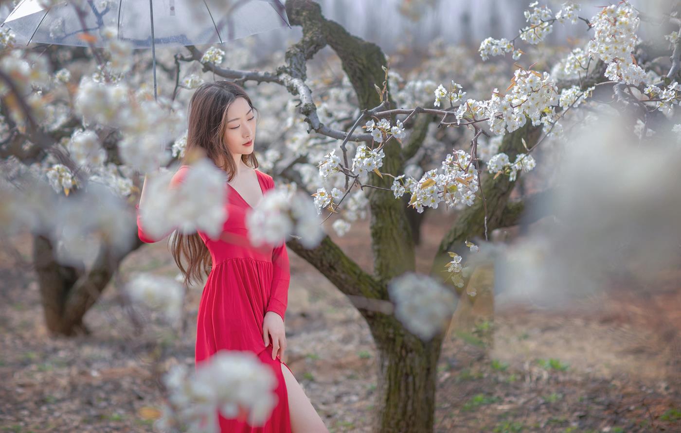 图片[34]-[YITUYU艺图语] 2021.12.22 一袭红妆拂梨花 如意 [32P] – 速更版-美库