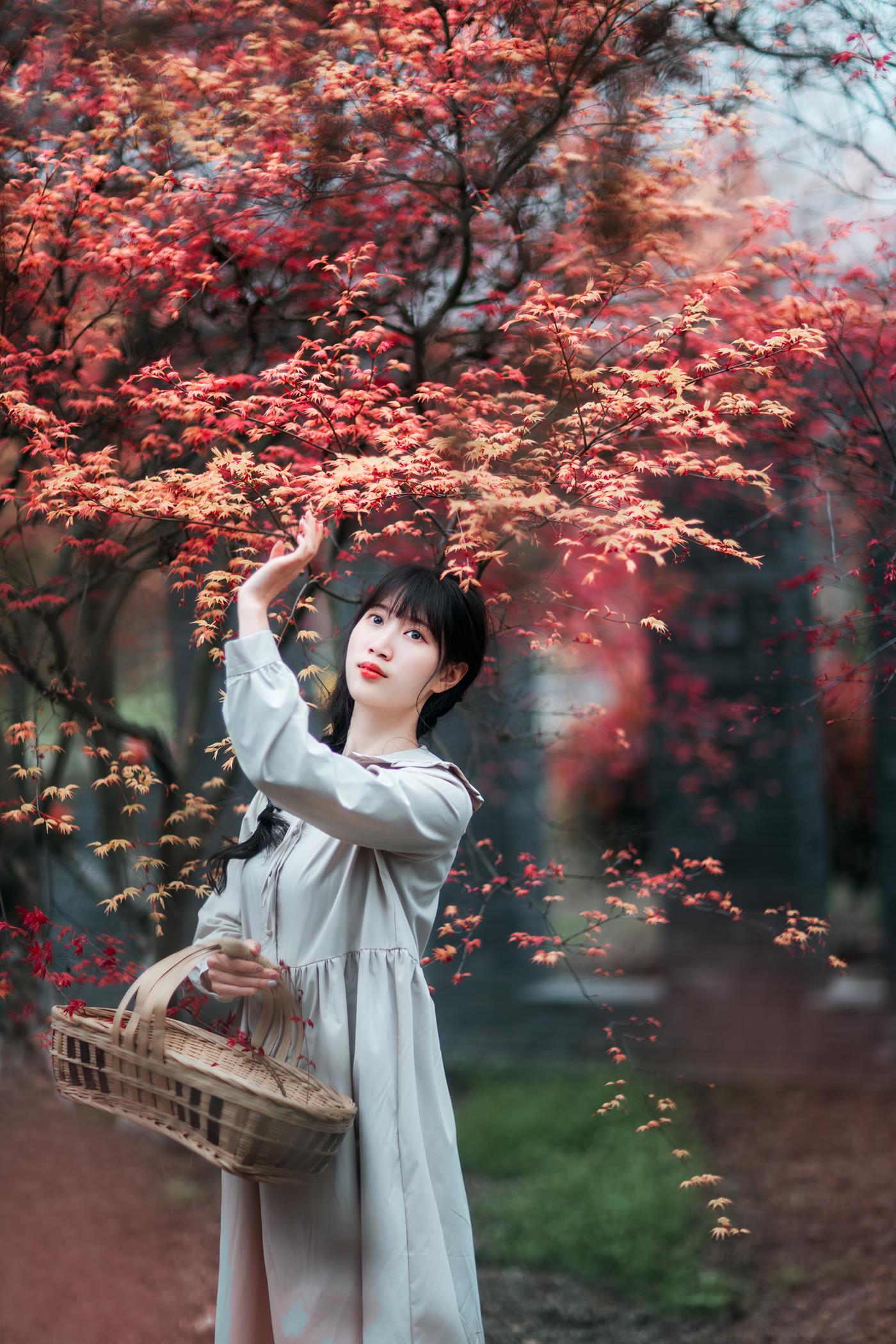 图片[26]-[YITUYU艺图语] 2021.12.23 枫林春晓 初茶 [39P] – 速更版-美库