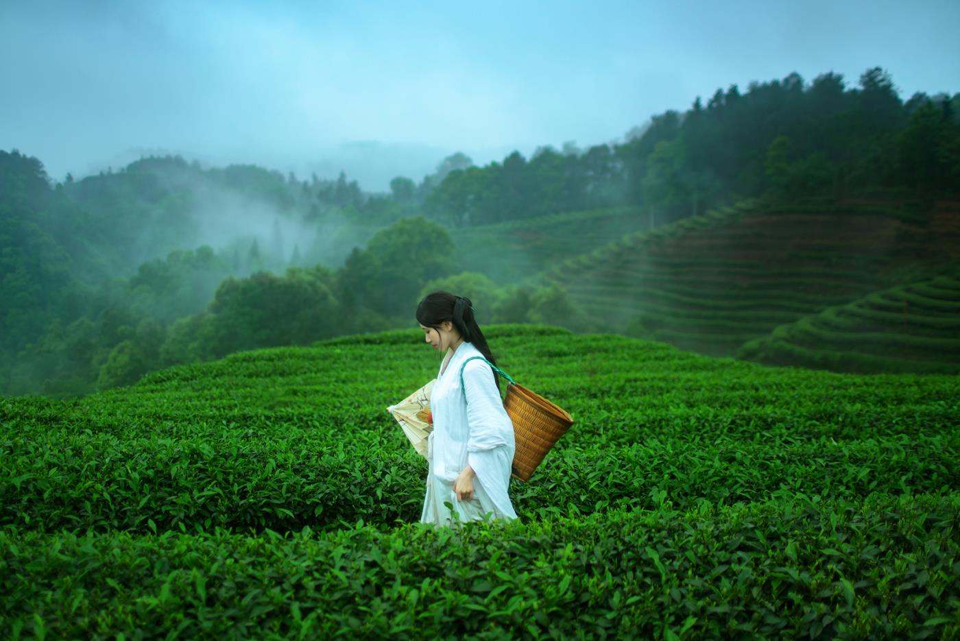 图片[12]-[YITUYU艺图语] 2021.12.24 空山灵雨 初茶 [27P] – 速更版-美库