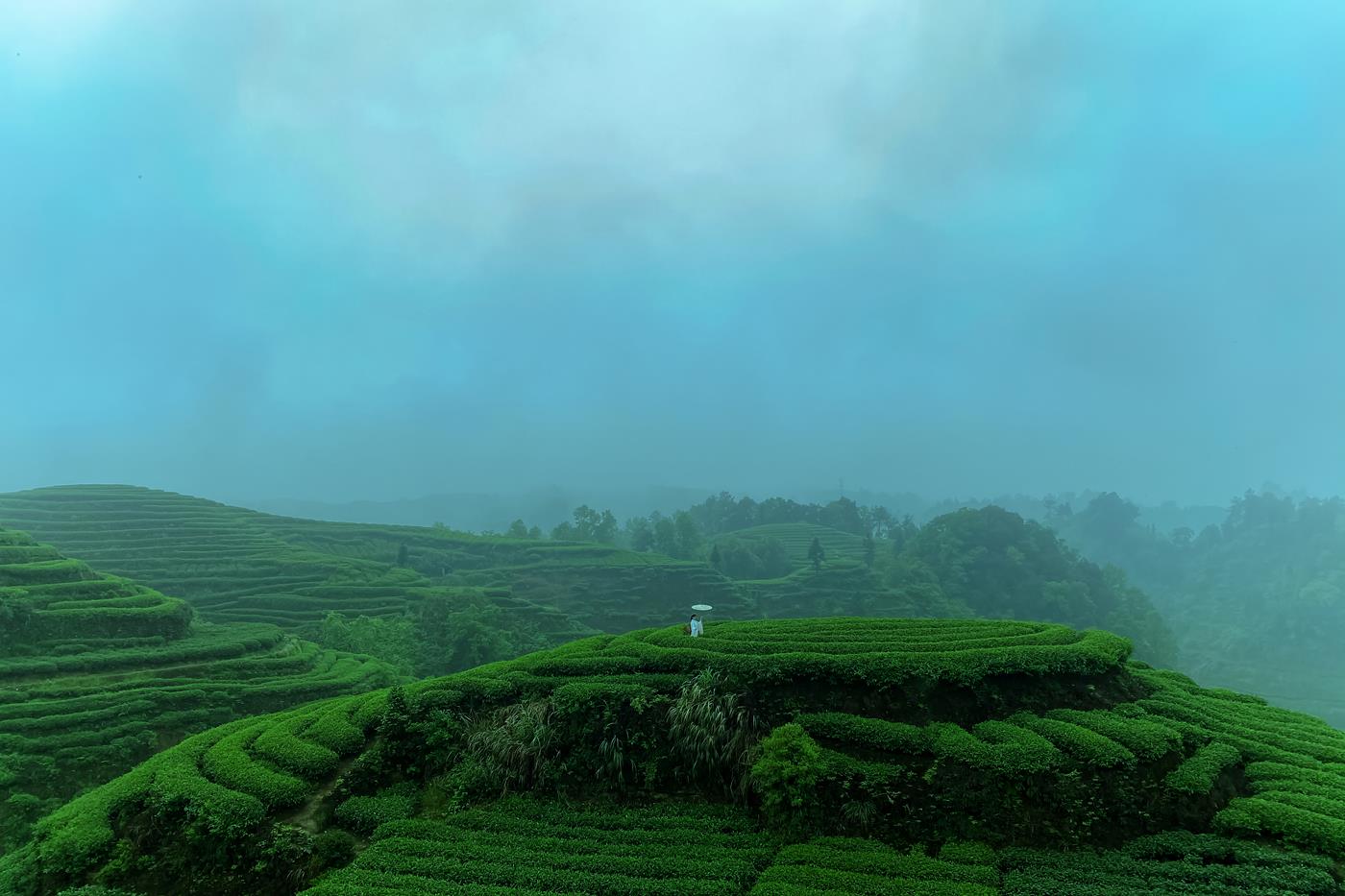 图片[13]-[YITUYU艺图语] 2021.12.24 空山灵雨 初茶 [27P] – 速更版-美库