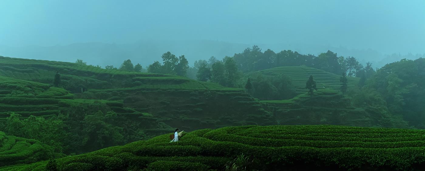 图片[14]-[YITUYU艺图语] 2021.12.24 空山灵雨 初茶 [27P] – 速更版-美库