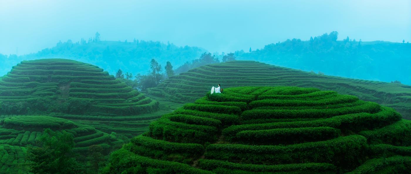 图片[17]-[YITUYU艺图语] 2021.12.24 空山灵雨 初茶 [27P] – 速更版-美库