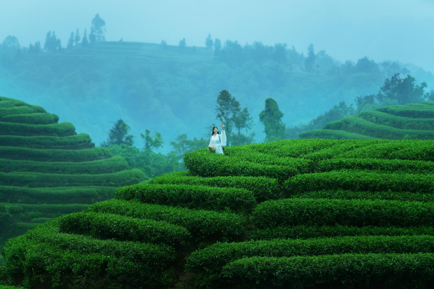 图片[18]-[YITUYU艺图语] 2021.12.24 空山灵雨 初茶 [27P] – 速更版-美库