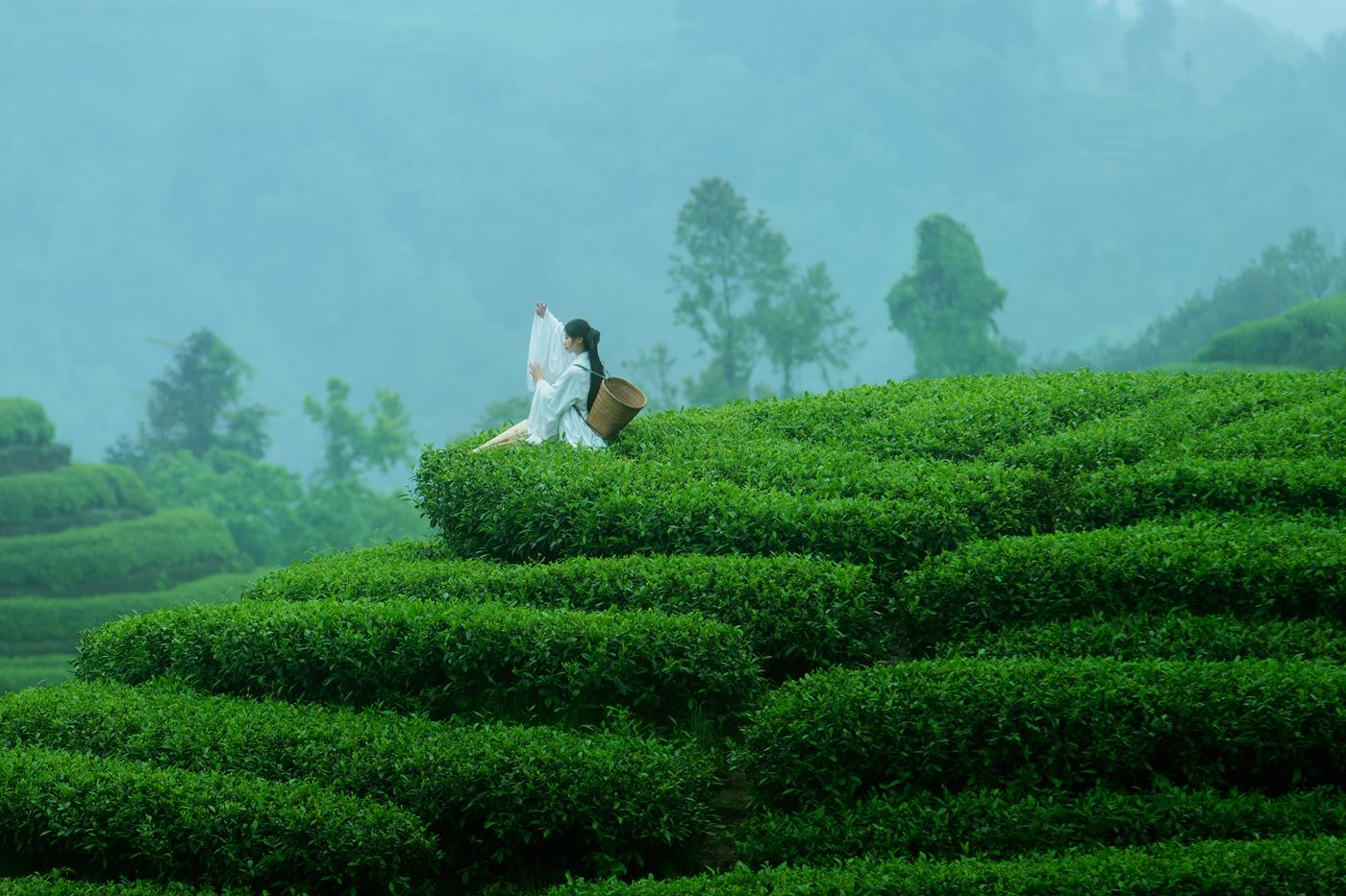 图片[19]-[YITUYU艺图语] 2021.12.24 空山灵雨 初茶 [27P] – 速更版-美库