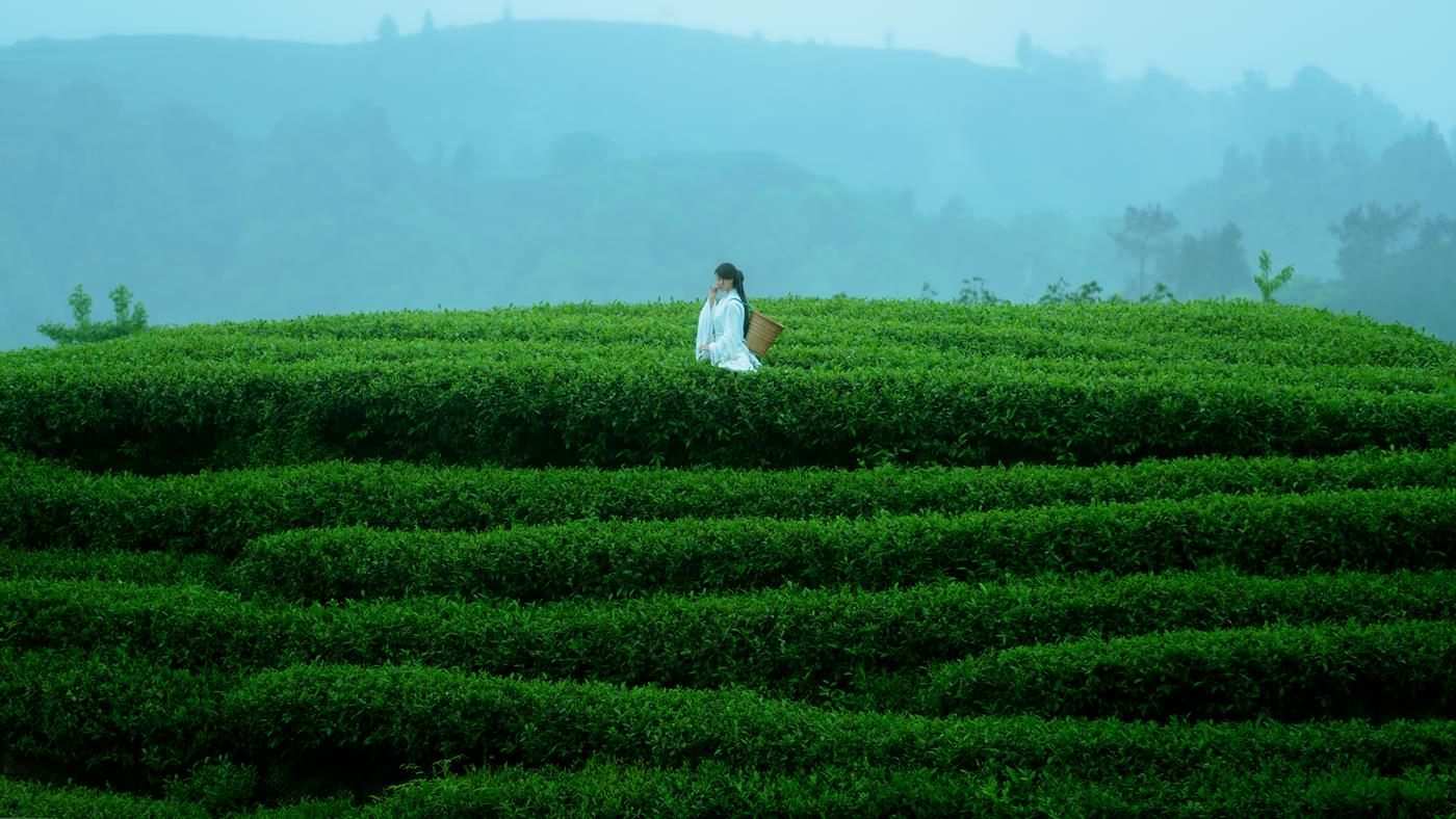 图片[20]-[YITUYU艺图语] 2021.12.24 空山灵雨 初茶 [27P] – 速更版-美库