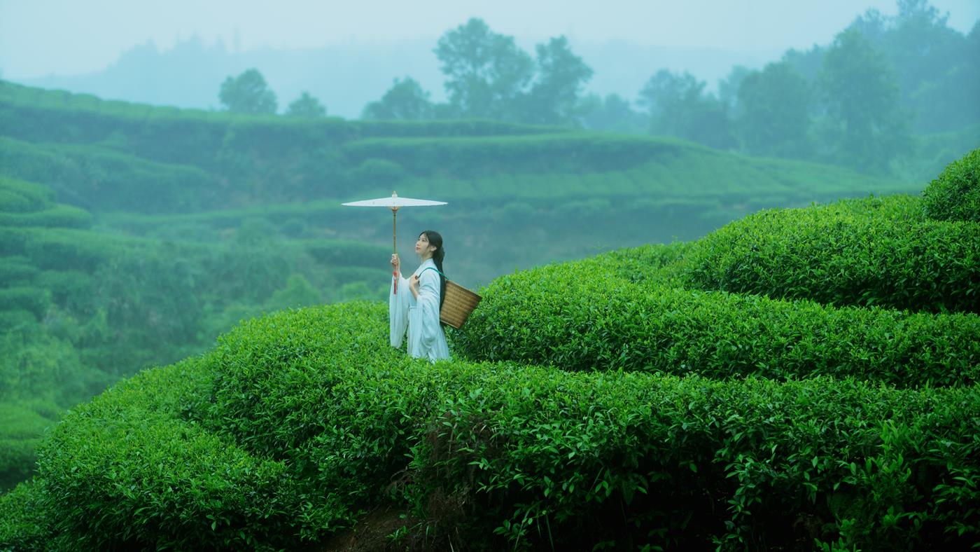 图片[21]-[YITUYU艺图语] 2021.12.24 空山灵雨 初茶 [27P] – 速更版-美库