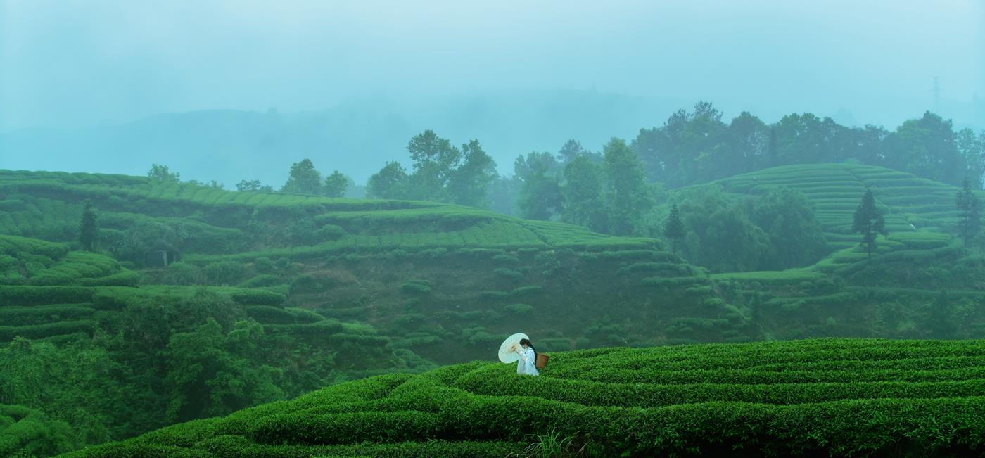 图片[22]-[YITUYU艺图语] 2021.12.24 空山灵雨 初茶 [27P] – 速更版-美库