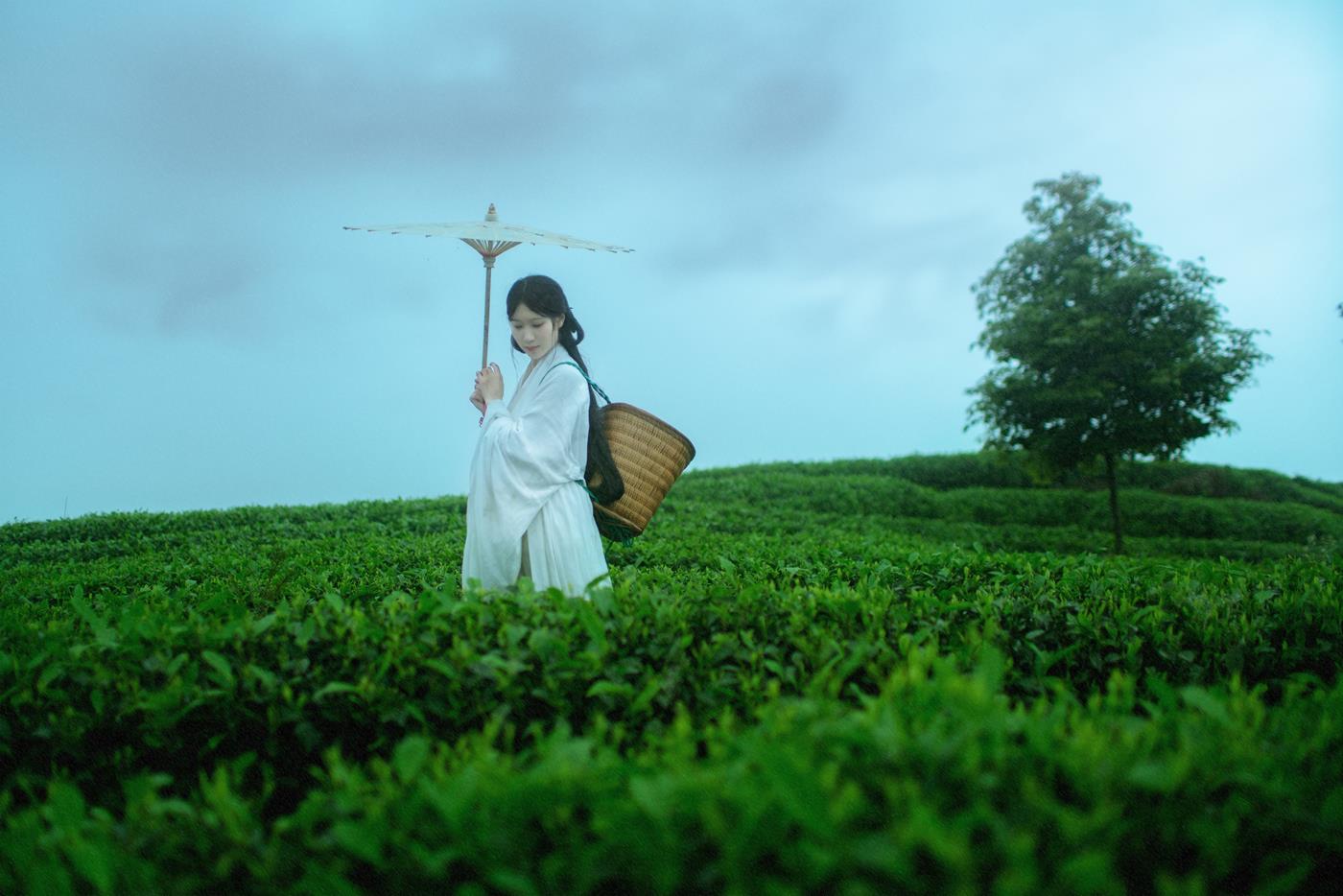 图片[28]-[YITUYU艺图语] 2021.12.24 空山灵雨 初茶 [27P] – 速更版-美库