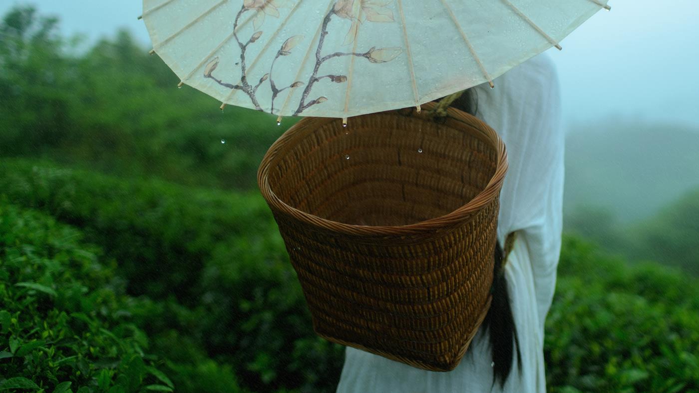 图片[29]-[YITUYU艺图语] 2021.12.24 空山灵雨 初茶 [27P] – 速更版-美库