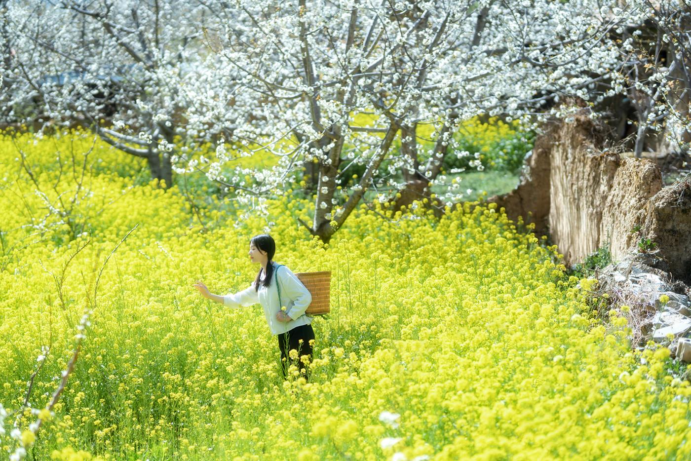 图片[18]-[YITUYU艺图语] 2021.12.27 故乡的小燕子 欢欢 [36P] – 速更版-美库