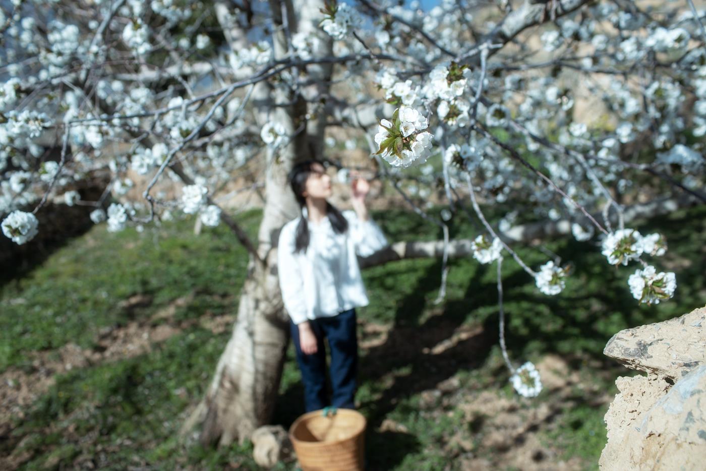 图片[24]-[YITUYU艺图语] 2021.12.27 故乡的小燕子 欢欢 [36P] – 速更版-美库