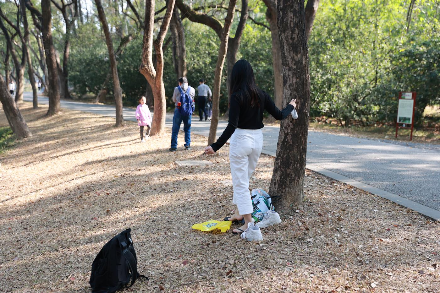 图片[19]-[见新摄影]NO.043 与小姐姐约拍植物园，逆光真的是美极了 (1) [84P] – 速更版-美库