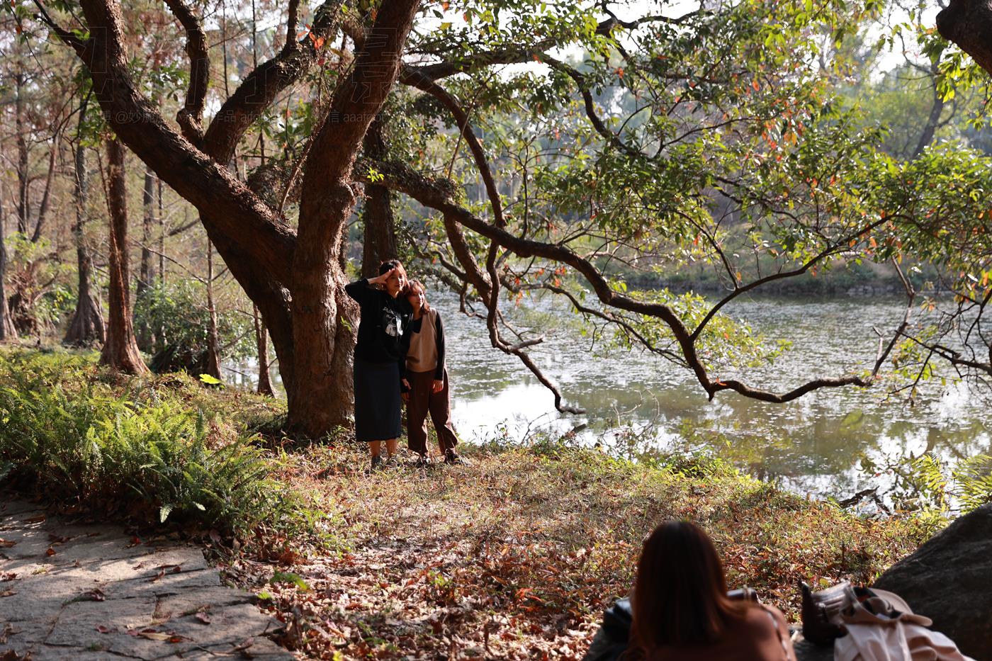 图片[15]-[见新摄影]NO.043 与小姐姐约拍植物园，逆光真的是美极了 (3) [60P] – 速更版-美库