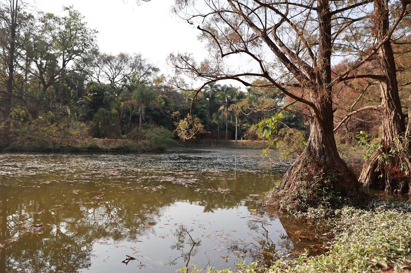 图片[17]-[见新摄影]NO.043 与小姐姐约拍植物园，逆光真的是美极了 (3) [60P] – 速更版-美库