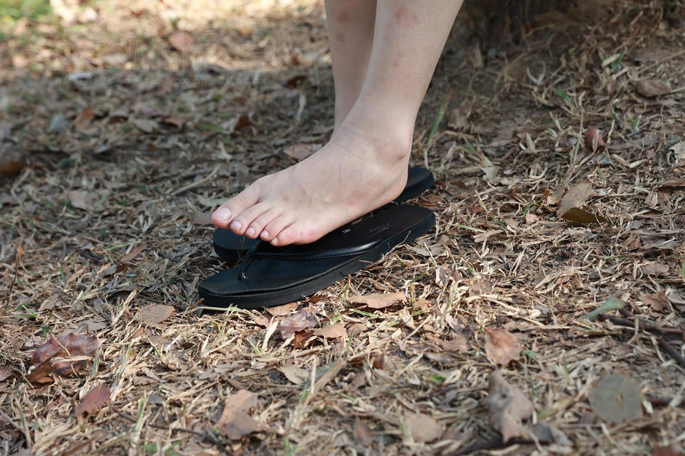 图片[42]-[见新摄影]NO.043 与小姐姐约拍植物园，逆光真的是美极了 (1) [84P] – 速更版-美库