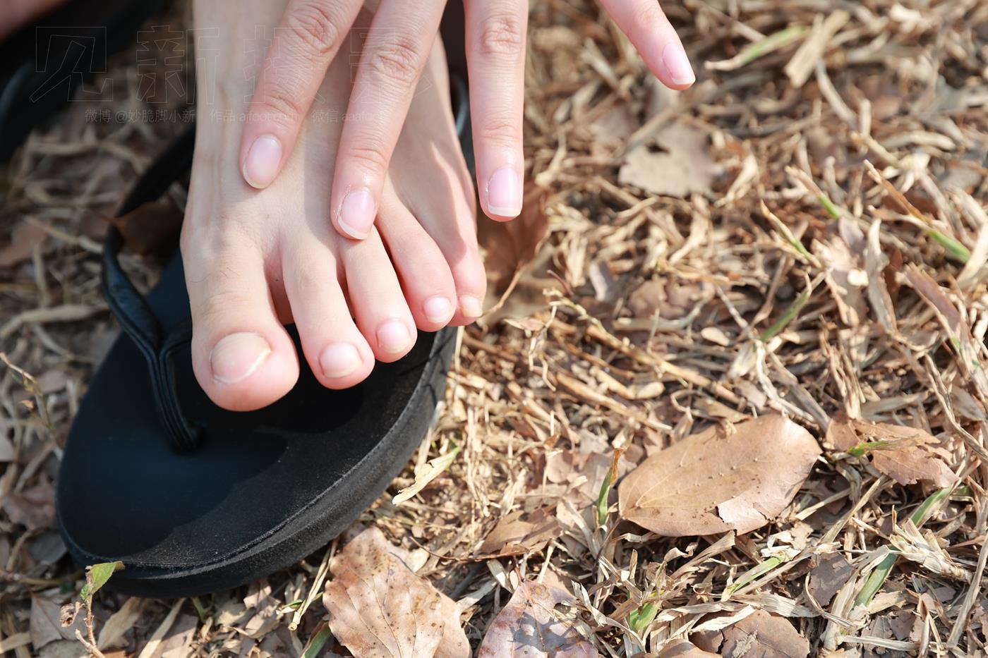 图片[47]-[见新摄影]NO.043 与小姐姐约拍植物园，逆光真的是美极了 (1) [84P] – 速更版-美库