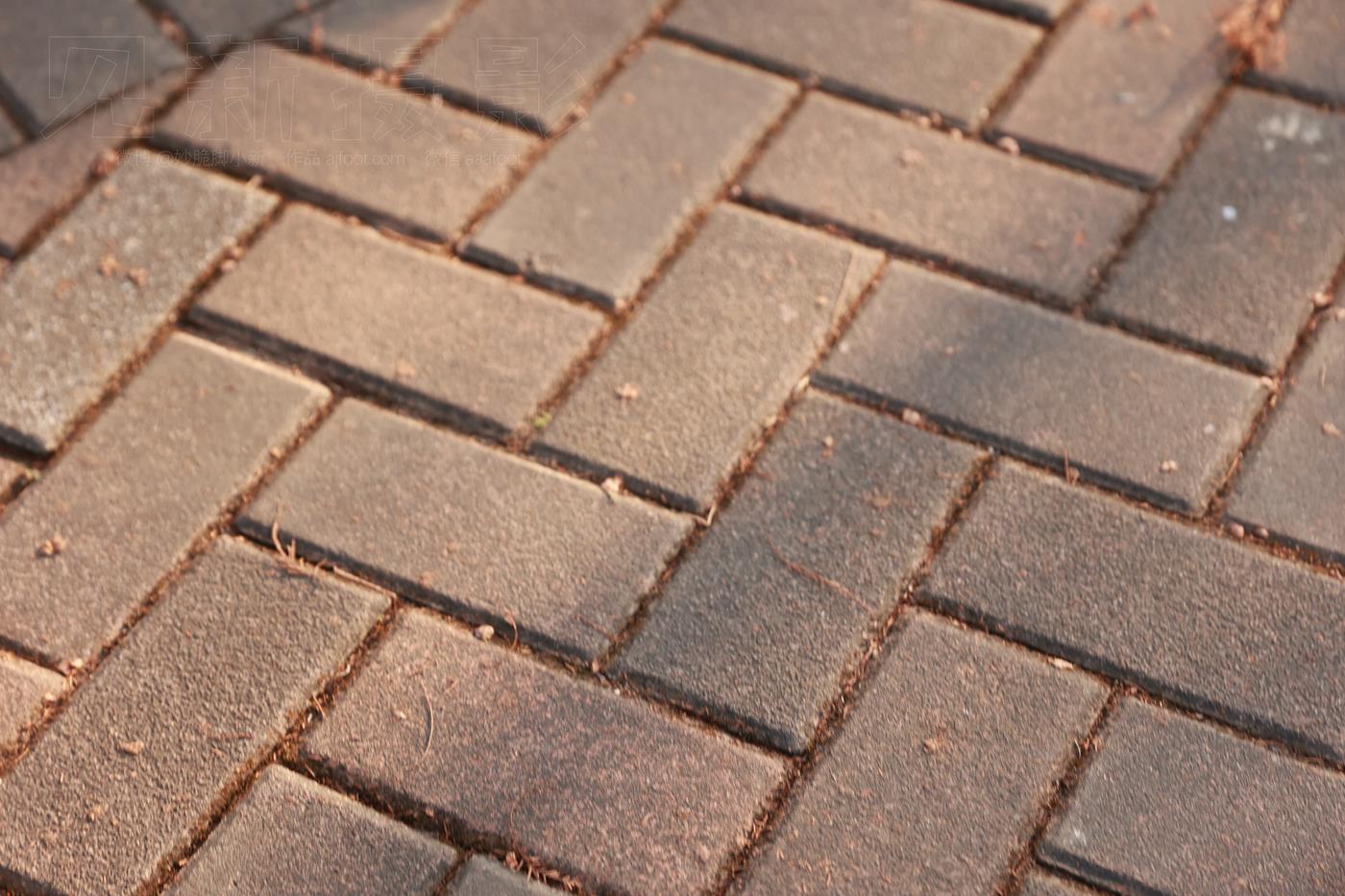 图片[43]-[见新摄影]NO.043 与小姐姐约拍植物园，逆光真的是美极了 (4) [42P] – 速更版-美库