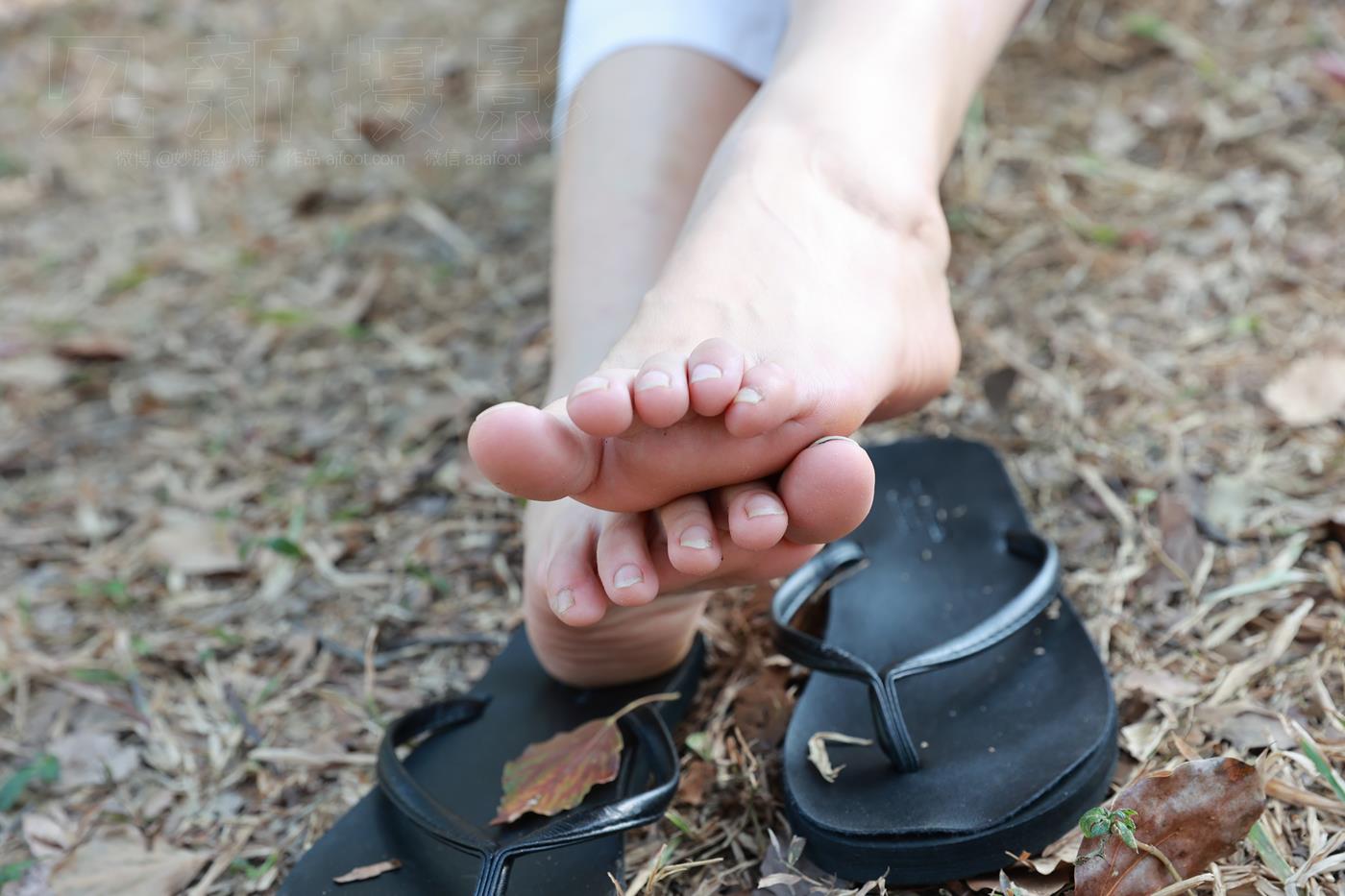 图片[83]-[见新摄影]NO.043 与小姐姐约拍植物园，逆光真的是美极了 (1) [84P] – 速更版-美库