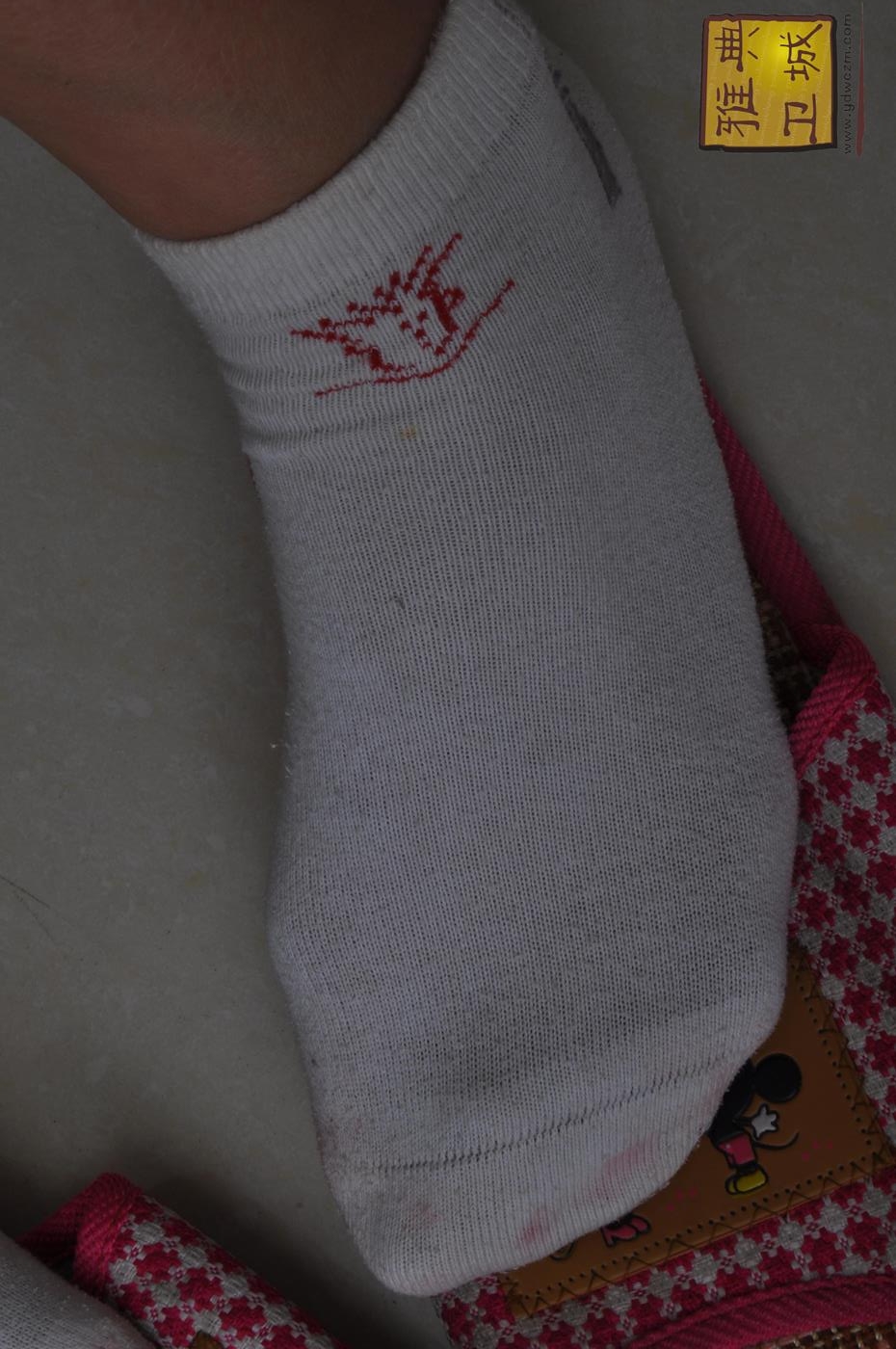 图片[25]-雅典卫城 客厅棉袜 2010-014 （1）[64P] – 速更版-美库