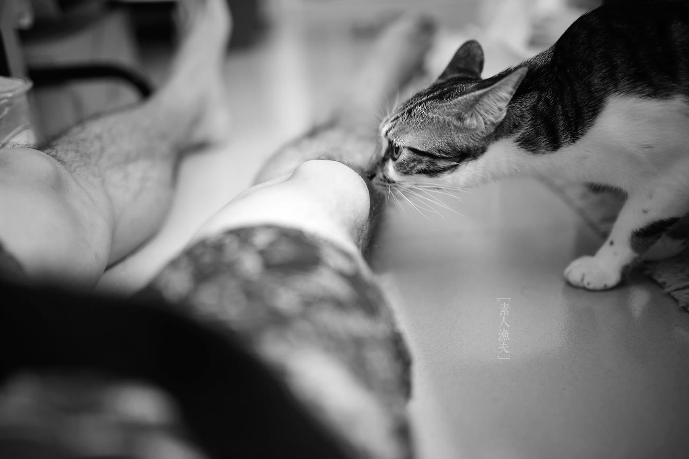 图片[14]-[LOFTER素人渔夫]写真作品 2015年11月 唯美套图[100P] – 速更版-美库