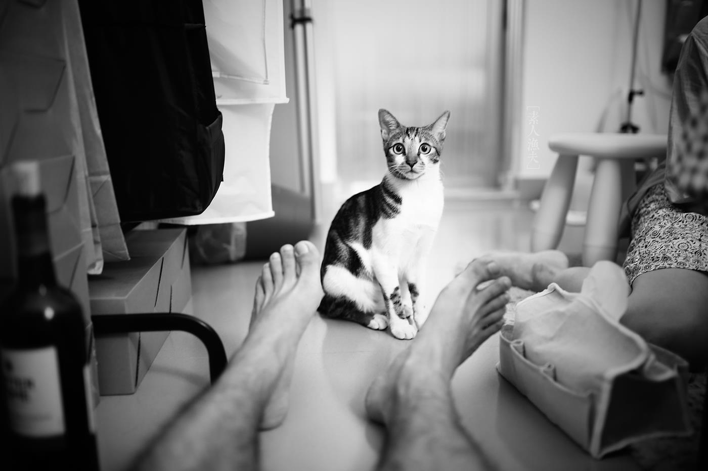 图片[15]-[LOFTER素人渔夫]写真作品 2015年11月 唯美套图[100P] – 速更版-美库