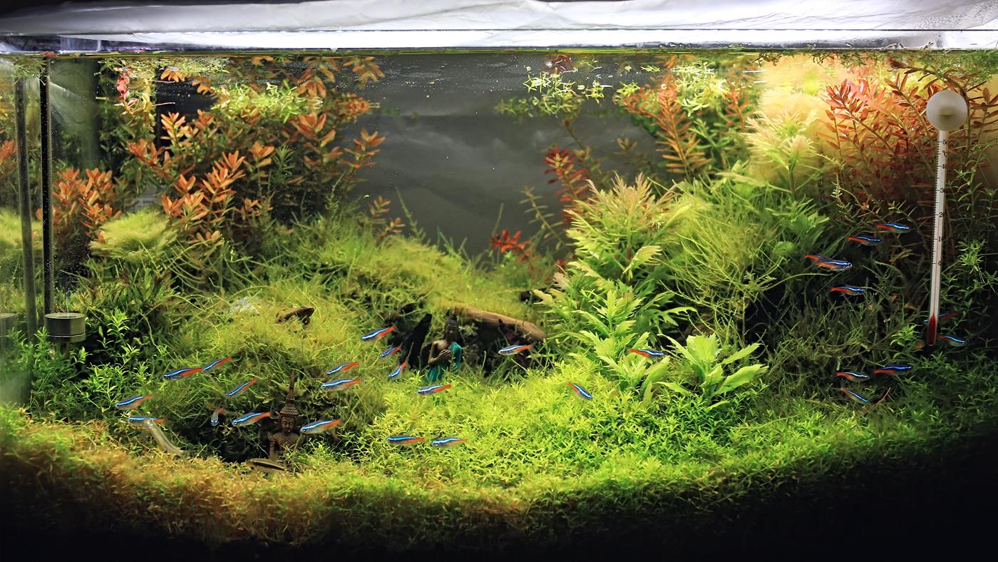 图片[65]-[LOFTER素人渔夫]写真作品 2016年02月 唯美套图 (2) [73P] – 速更版-美库