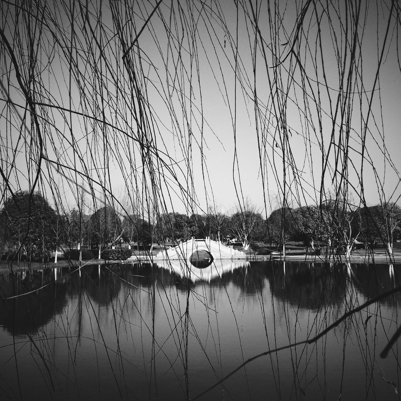 图片[64]-[LOFTER素人渔夫]写真作品 2016年02月 唯美套图 (1) [84P] – 速更版-美库