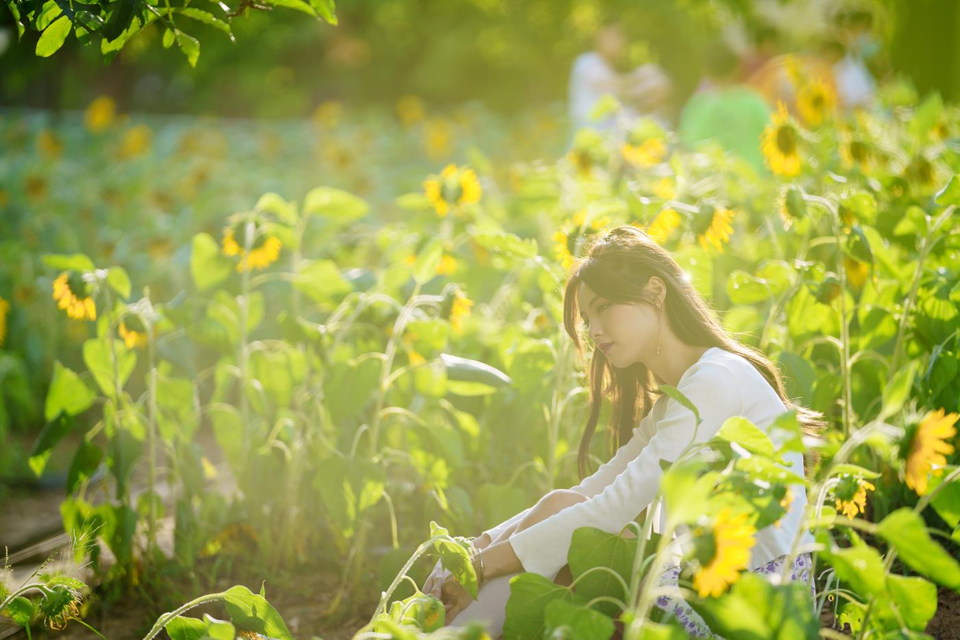 图片[19]-[YITUYU艺图语] 2021.12.30 向日葵花海 滕静 [31P] – 速更版-美库