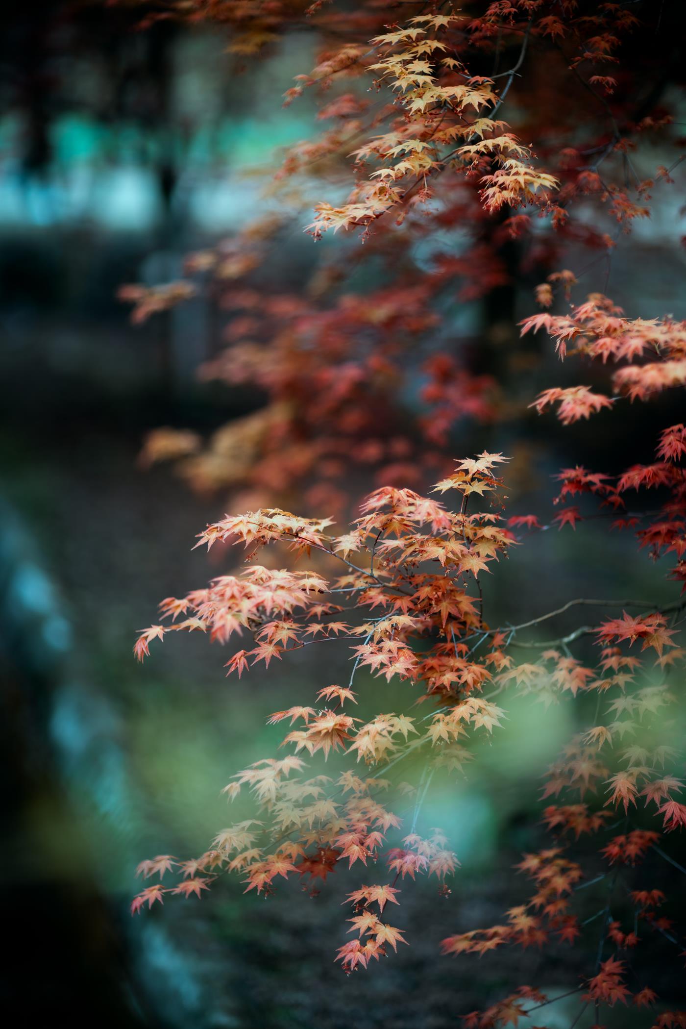 图片[14]-[YITUYU艺图语] 2021.12.31 人间三月天 梅梅 [23P] – 速更版-美库