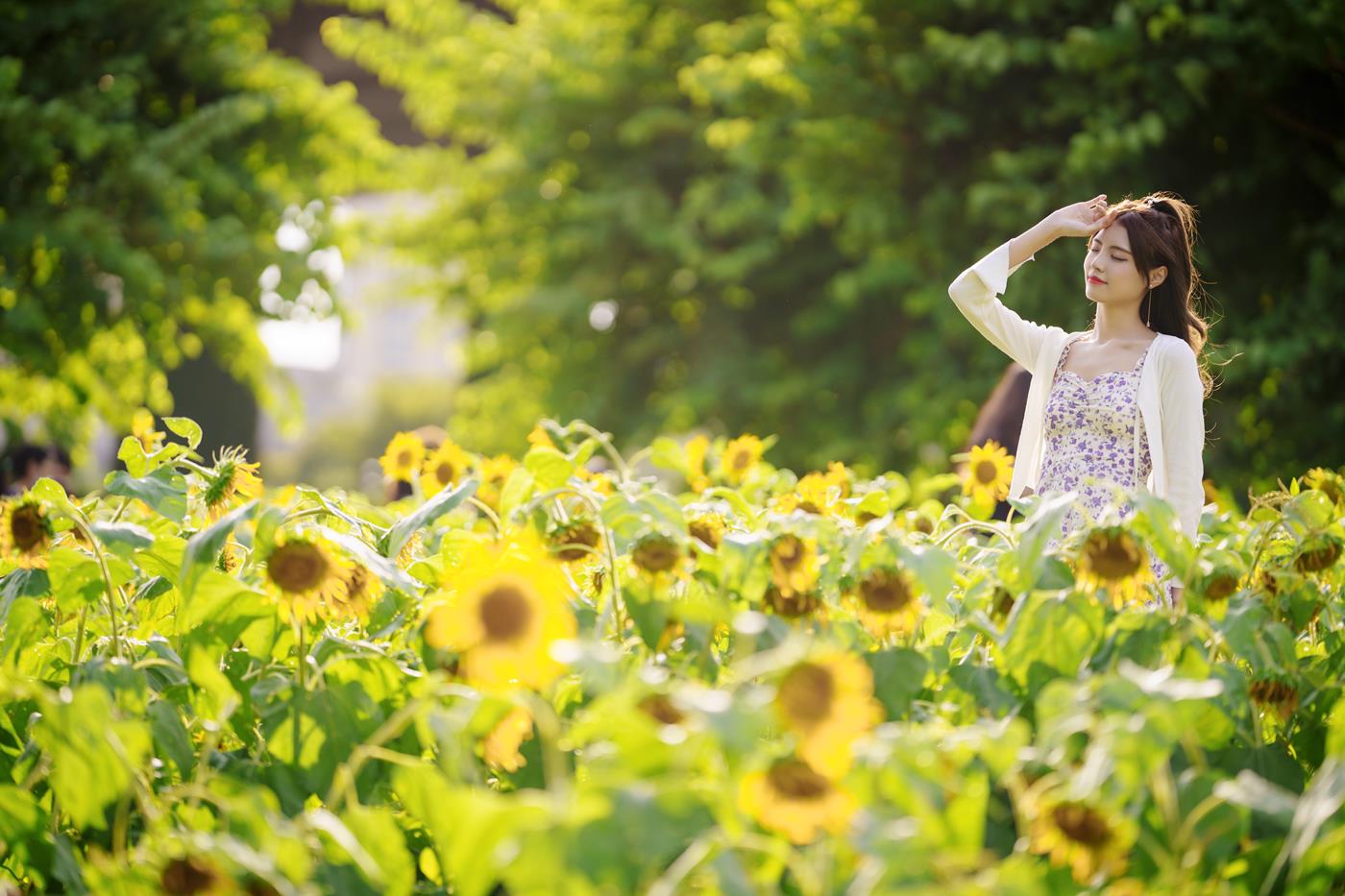 图片[31]-[YITUYU艺图语] 2021.12.30 向日葵花海 滕静 [31P] – 速更版-美库