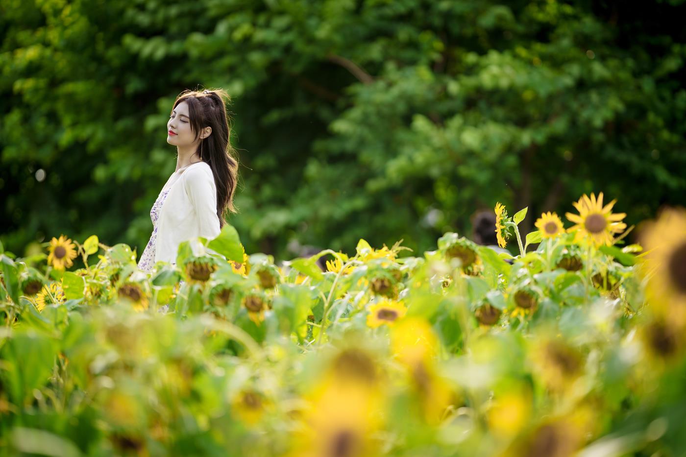 图片[33]-[YITUYU艺图语] 2021.12.30 向日葵花海 滕静 [31P] – 速更版-美库